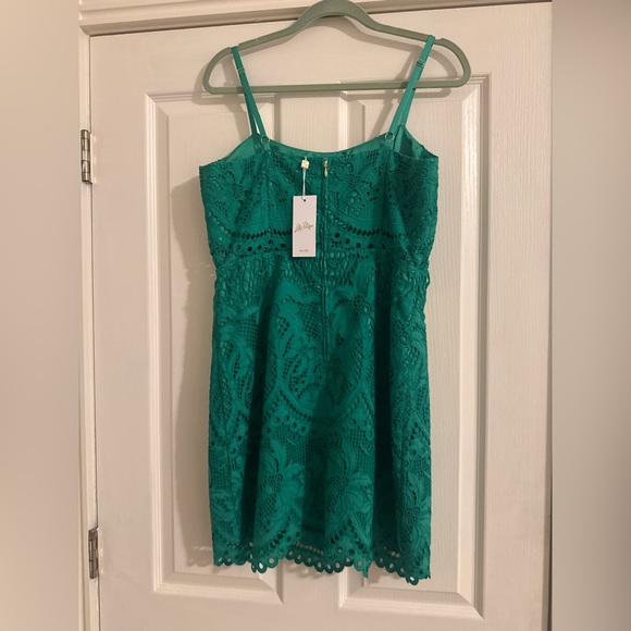 Lilly Pulitzer Risette Lace Dress - Picture 3 of 4